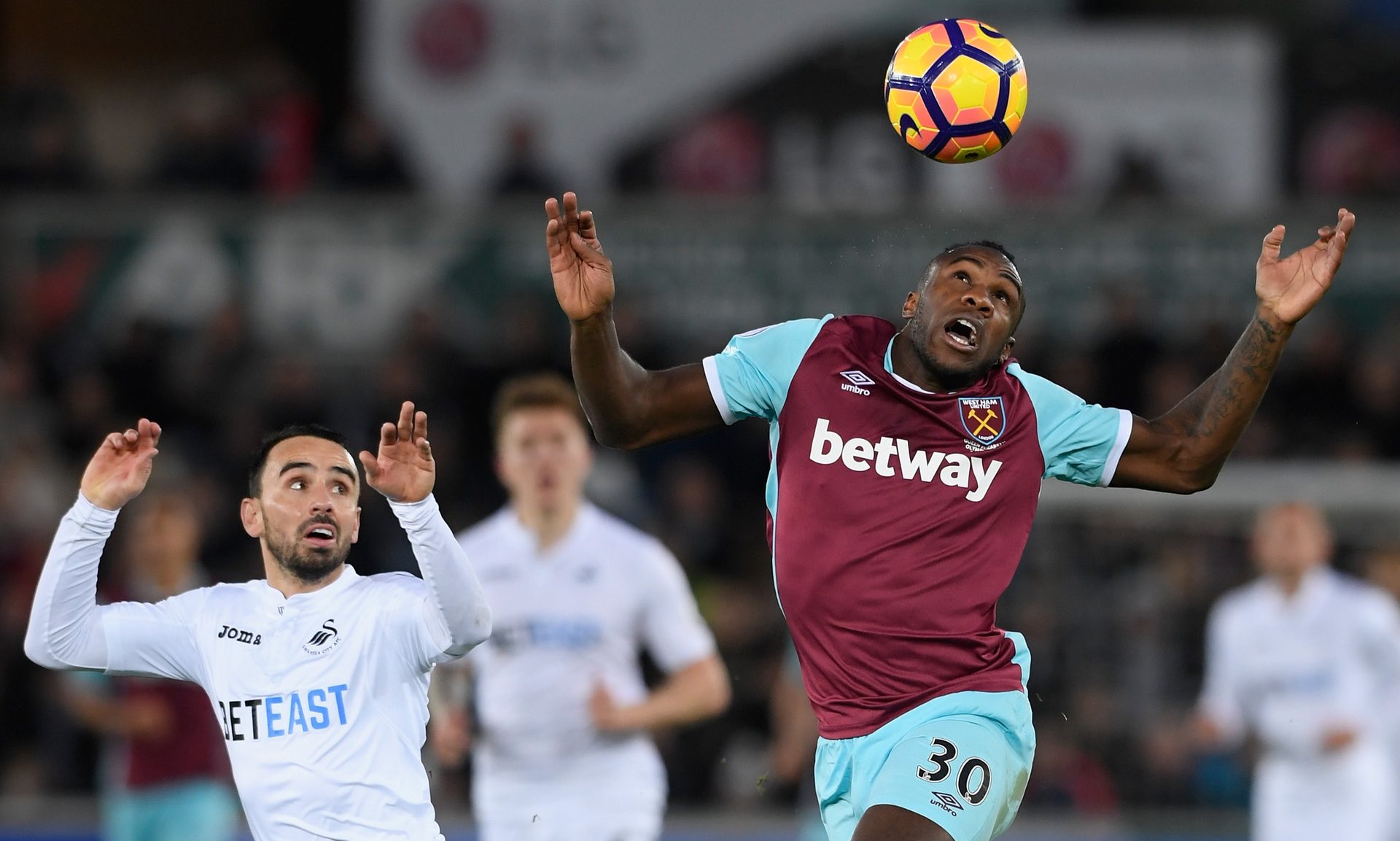 马菲奥的关 马菲奥的关